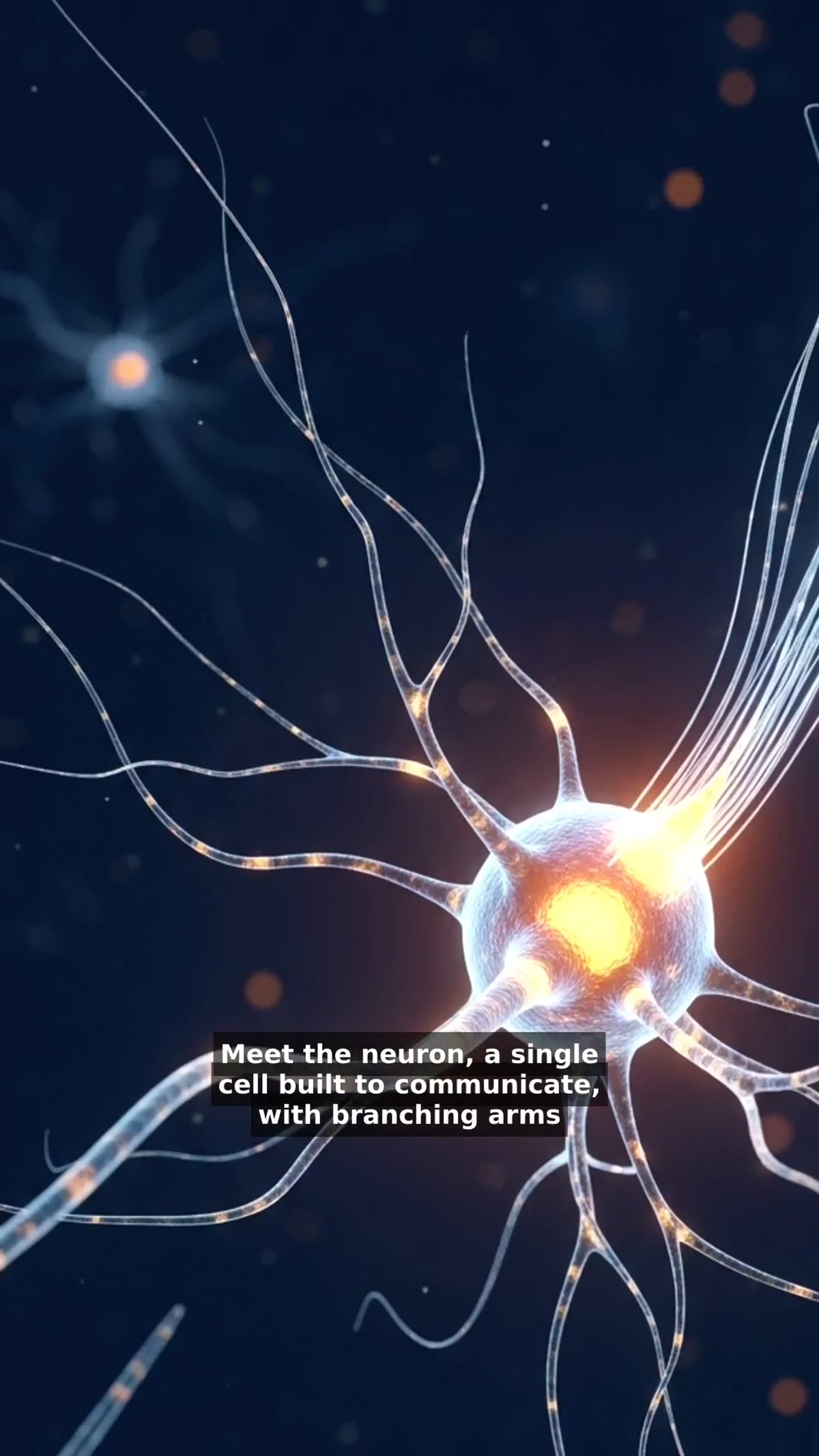 The Edge of the Sky