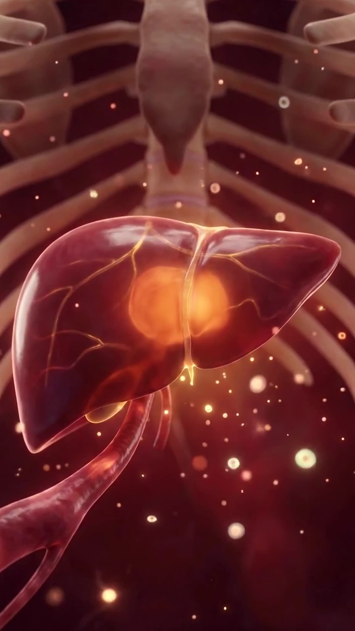 Your Body's Silent Chemical Plant