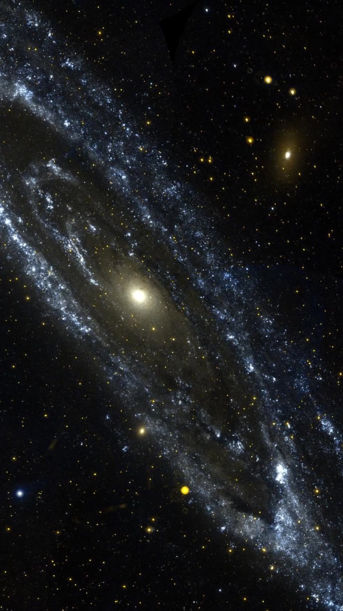 Andromeda, Our Nearest Galaxy