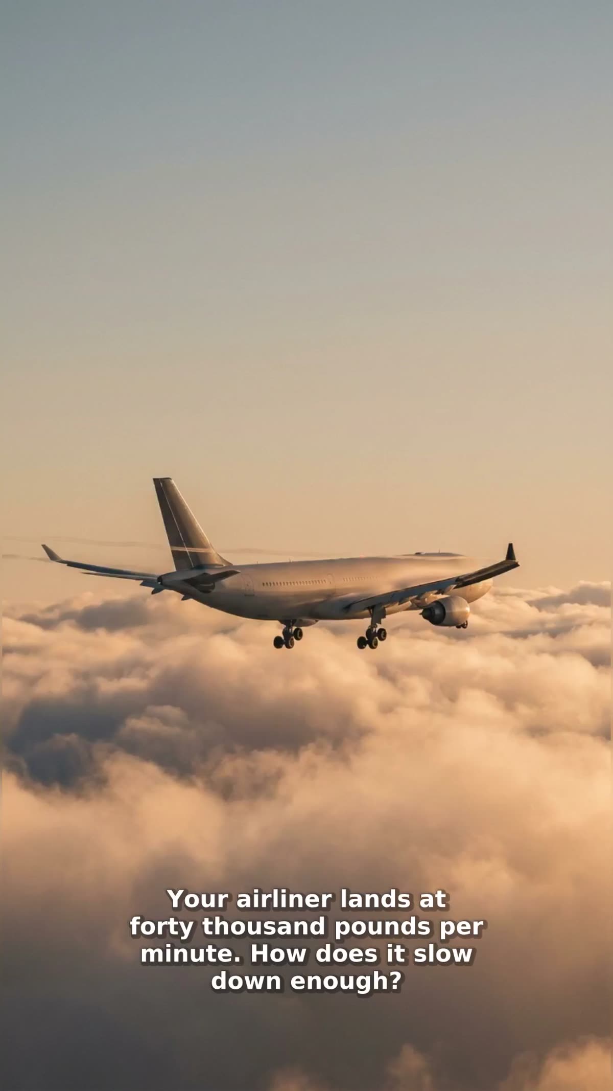 Why Planes Have Flaps