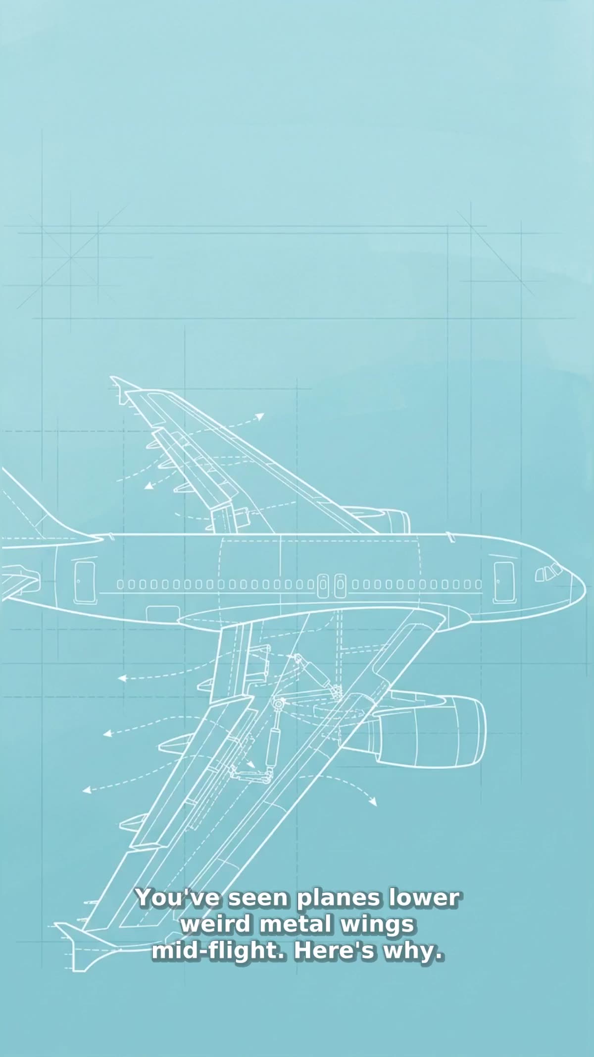 Why Planes Need Different Flaps