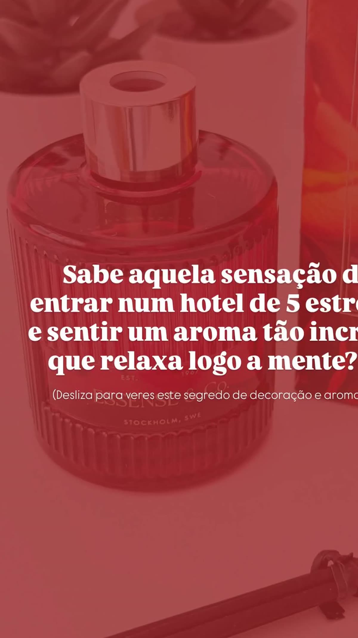 Ana Lucia Reviews Luxury Hotel Lobby Fragrance