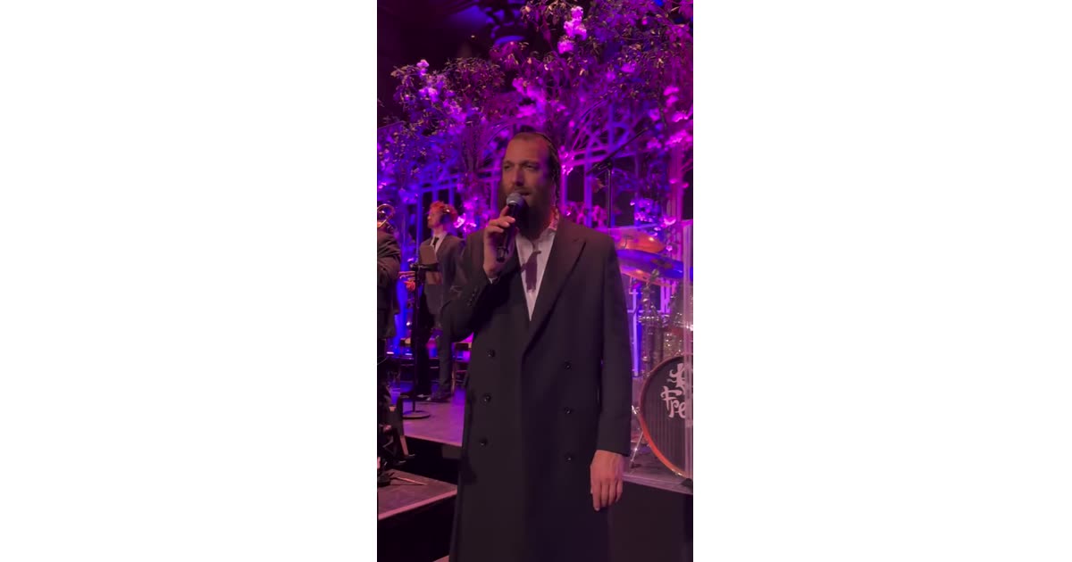 Live Classical Performance Under Floral Lights | Music | Will