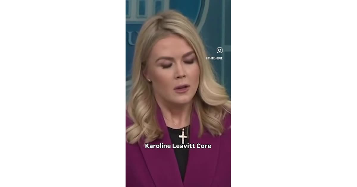 White House Official Discusses ICE Arrests and Media Coverage | News | William Lebovics