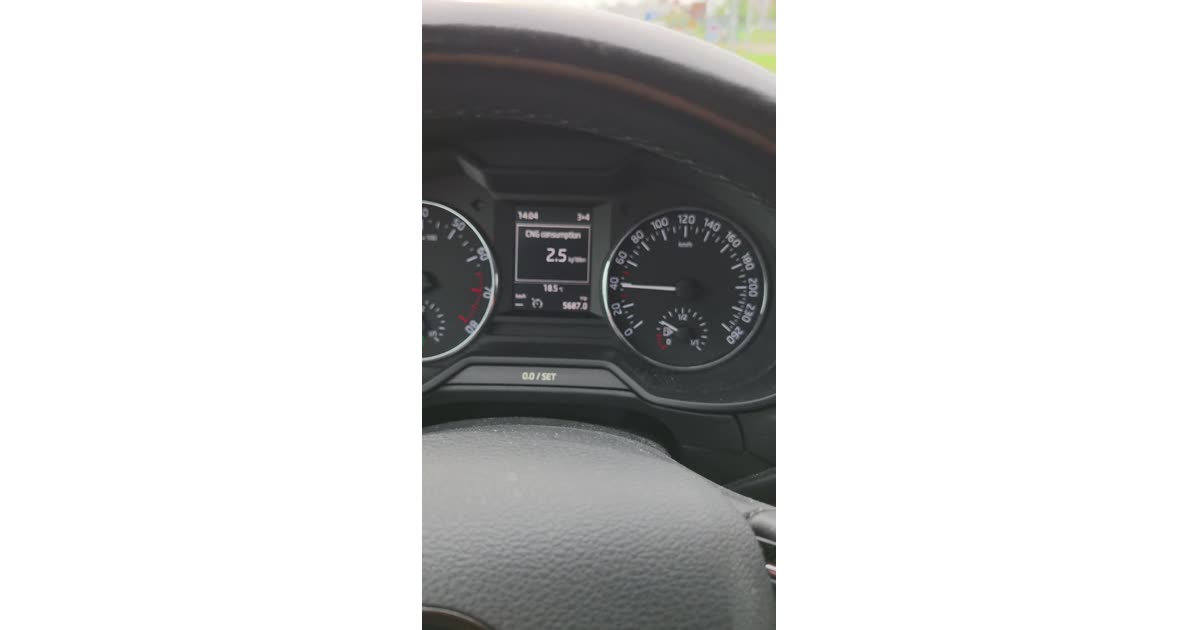 CNG Consumption 2.5 L/min Dashboard Display | Automotive | renano.eu