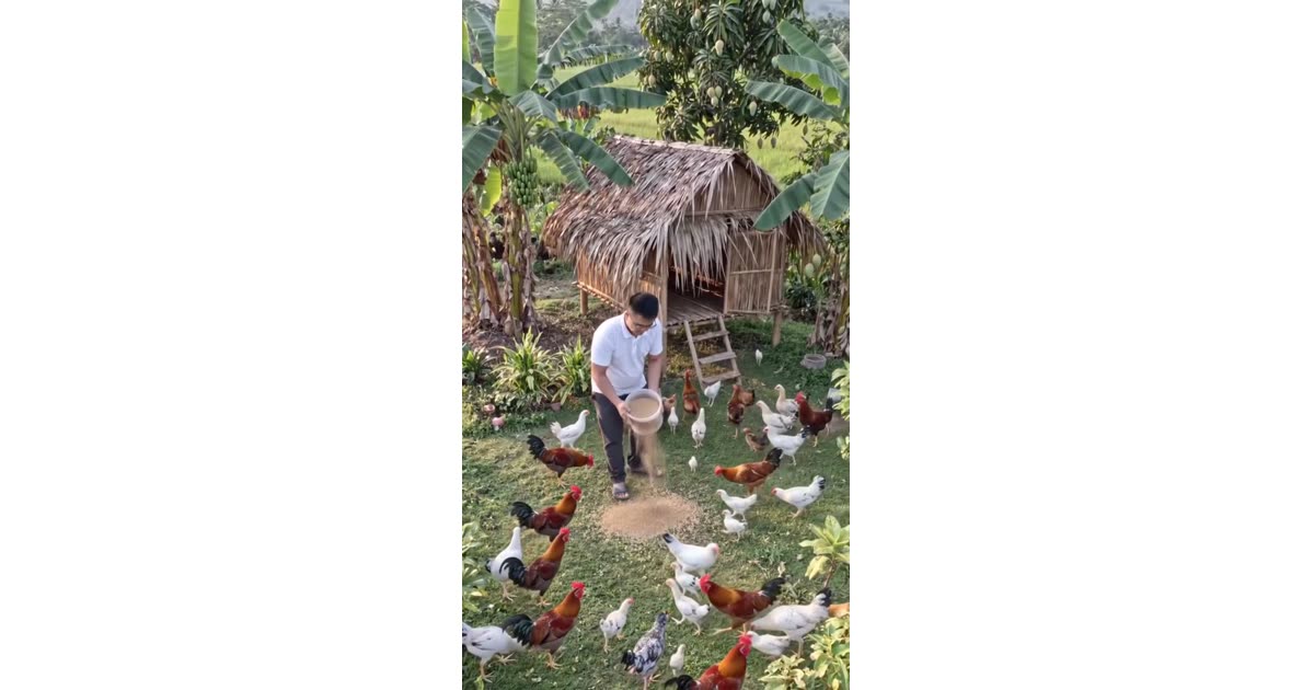 Simple Life Truly Brings Happiness | Lifestyle | Ramel Canales