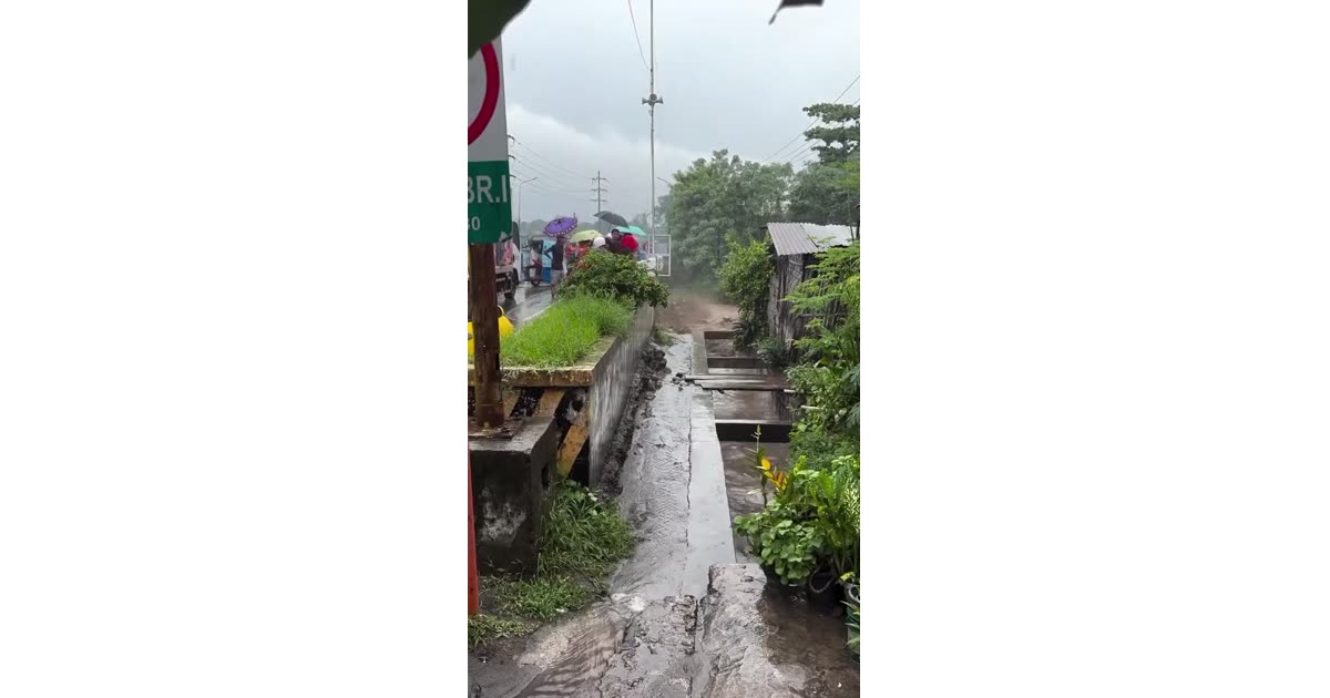 Pangulan Project Updates | Business | Musso