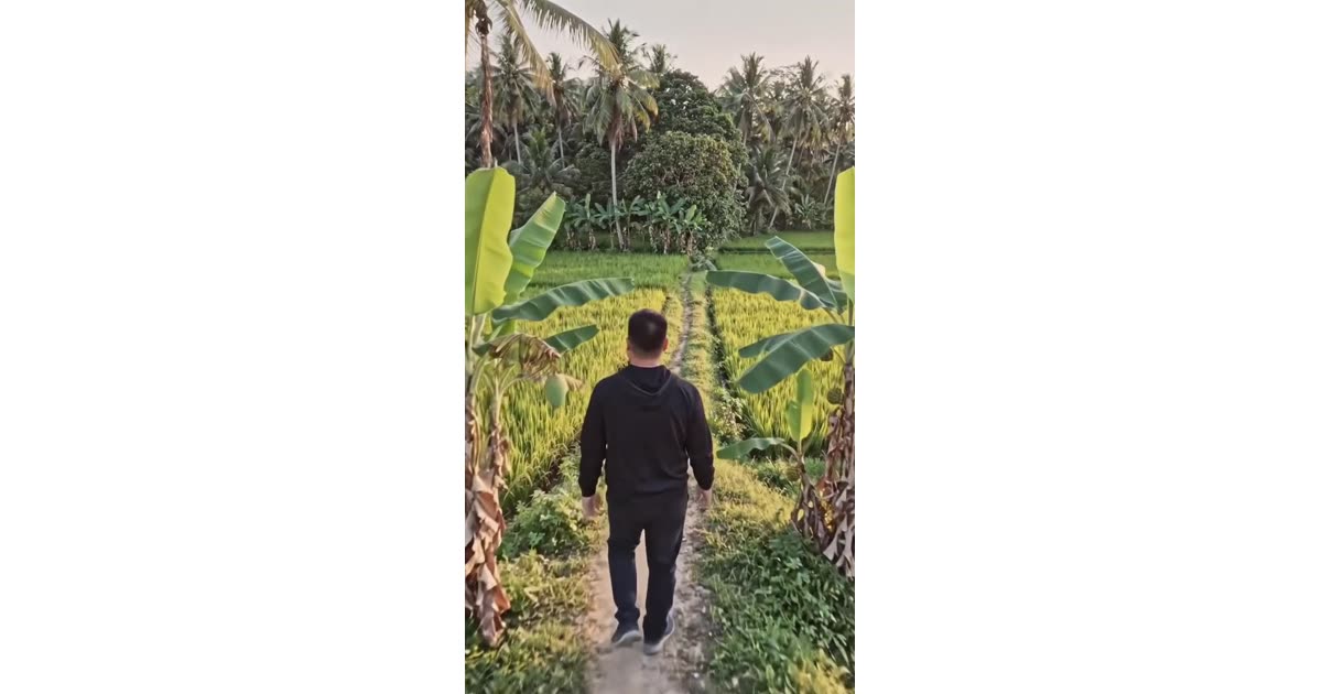 Pause, Breathe, and Appreciate Simple Beauty | Lifestyle | Ramel Canales