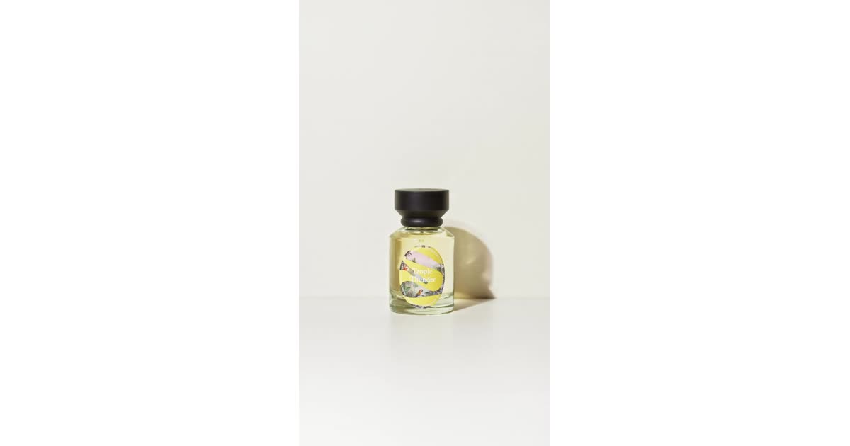 Tropic Thunder Fragrance | Fashion | Ana Lúcia