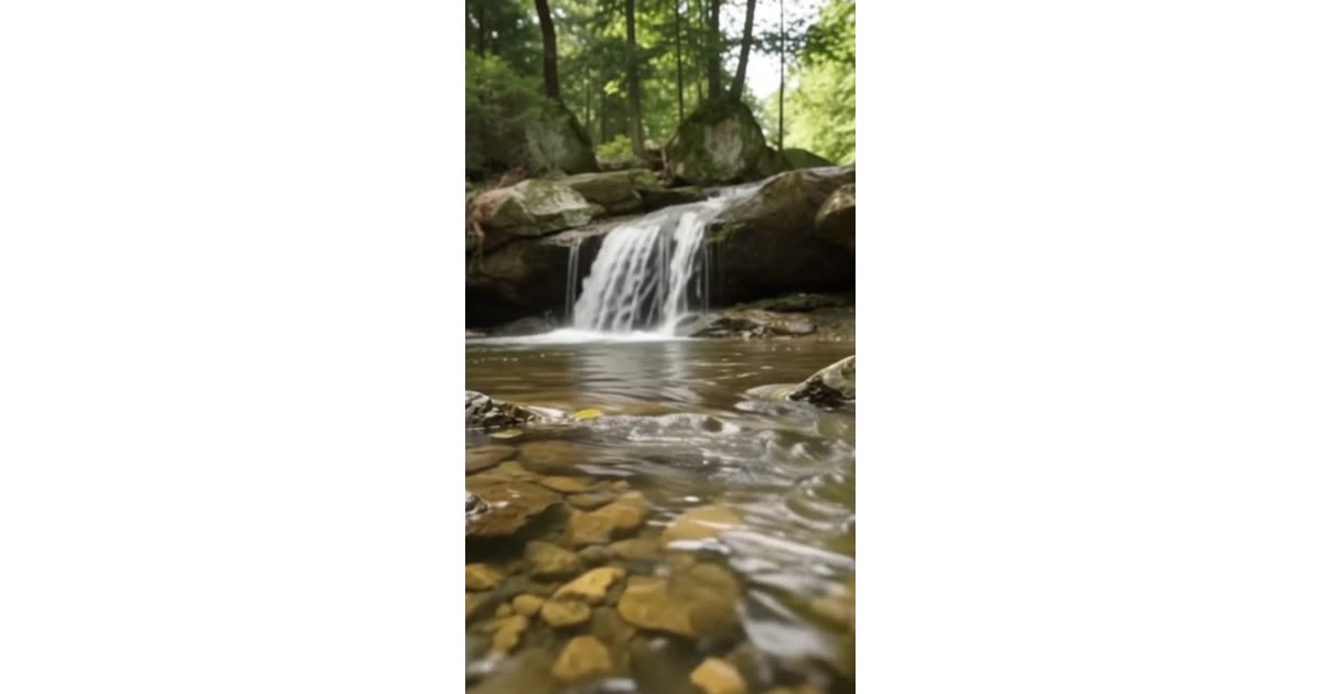 Forest Stream Waterfall Among Green Trees | Nature | Ms.Eve
