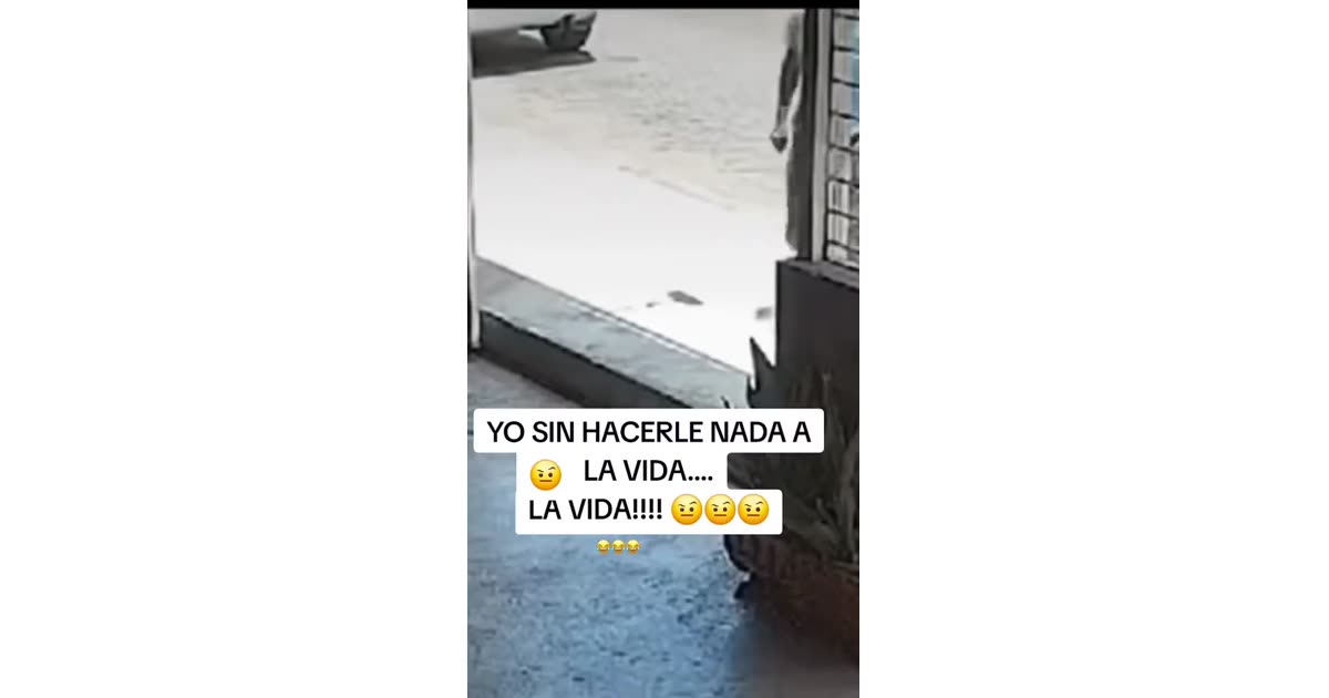 Yo Sin Hacerle Nada a la Vida | Comedy | Gibbi