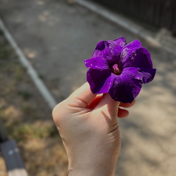 Svetlana Mhitarean | Content Creator, Artist, Business Development & CMO | Chișinău