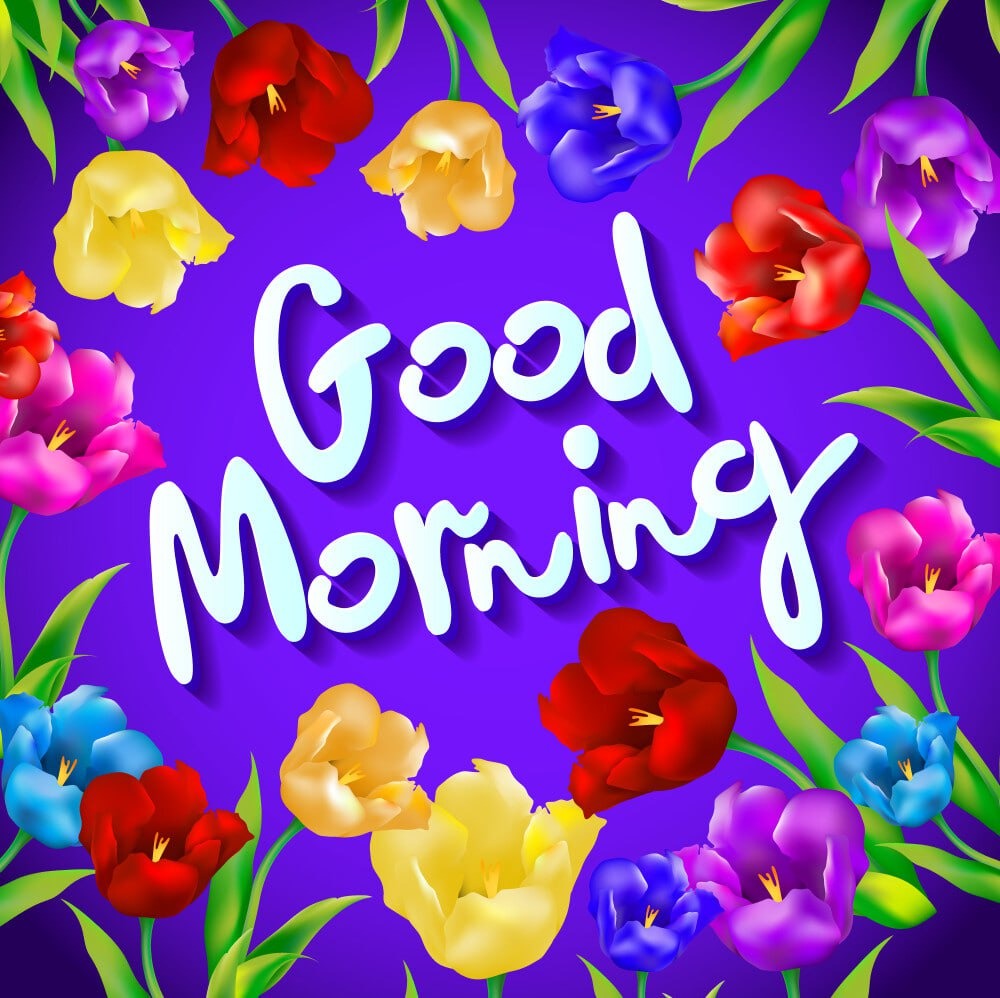 Good Morning Greeting with Colorful Tulips | Lifestyle | CreativiTree Hub | YESODI