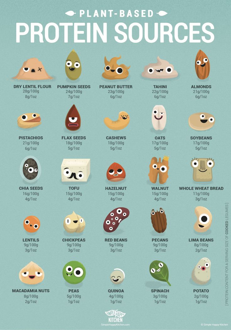 A collection of plant based protein sources including legumes, seeds, whole grains, and nuts arranged together.