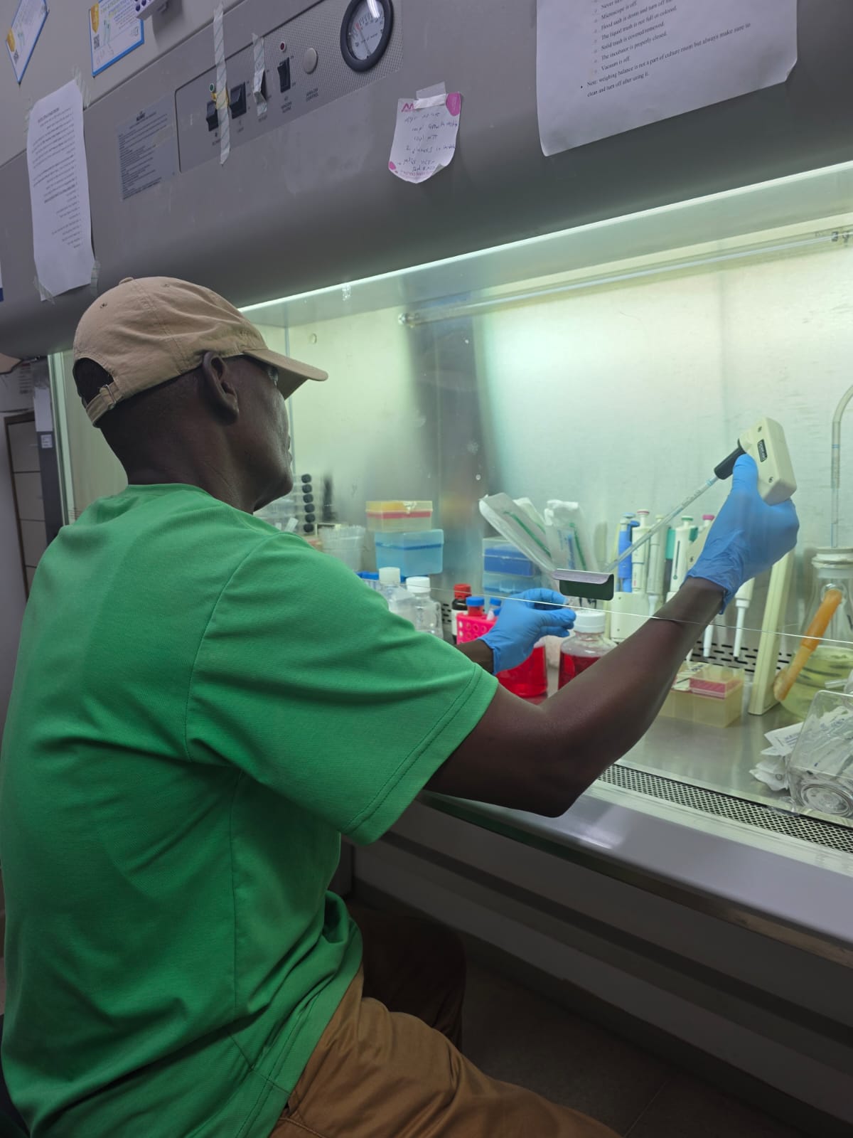 A laboratory technician works inside a biosafety cabinet while handling scientific samples with precision.