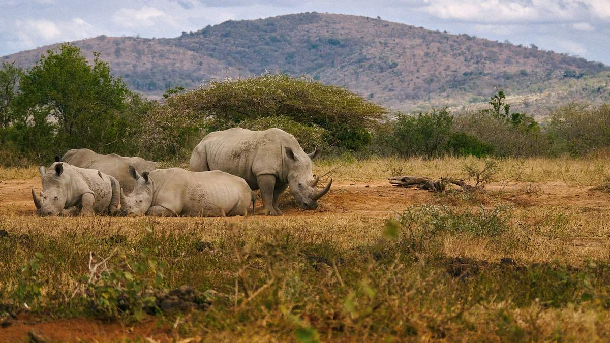 The Soul of South Africa · An epic journey through South… | Donald Dias on YESODI