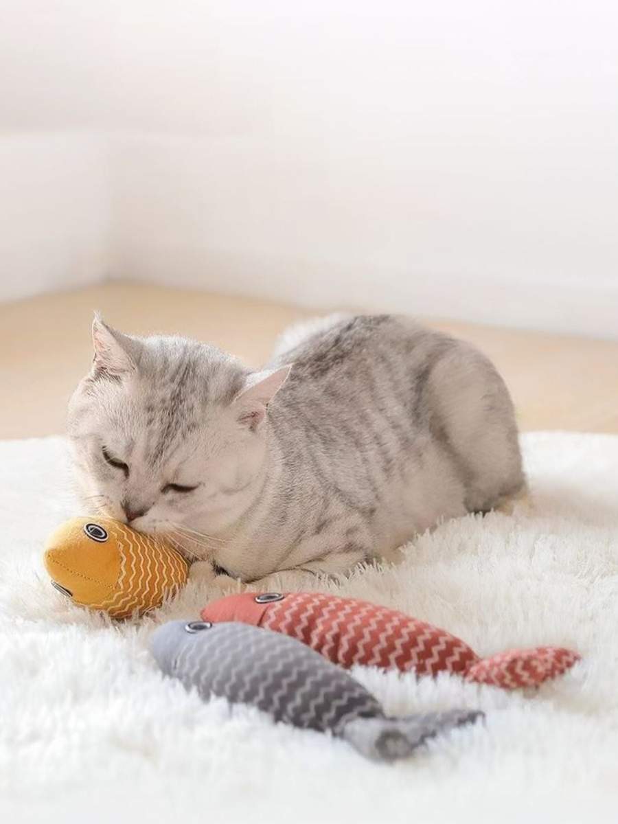 Interactive Fish Shape Pet Plush Toys · Interactive… | Donald Dias on YESODI