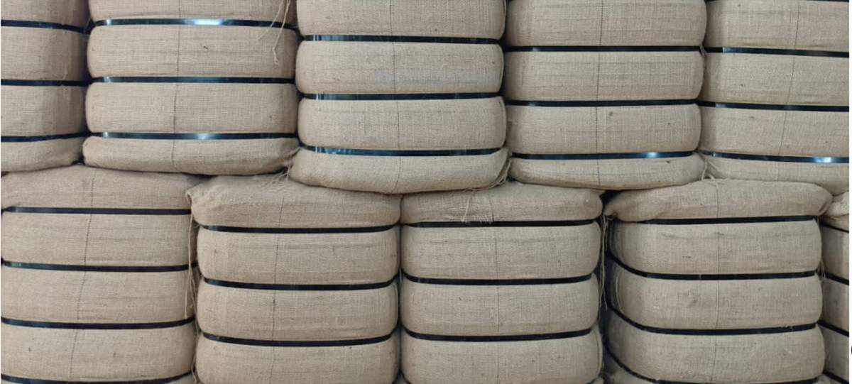 Victoria Jute Company II | Jute Manufacturer & Supplier | West Bengal, India